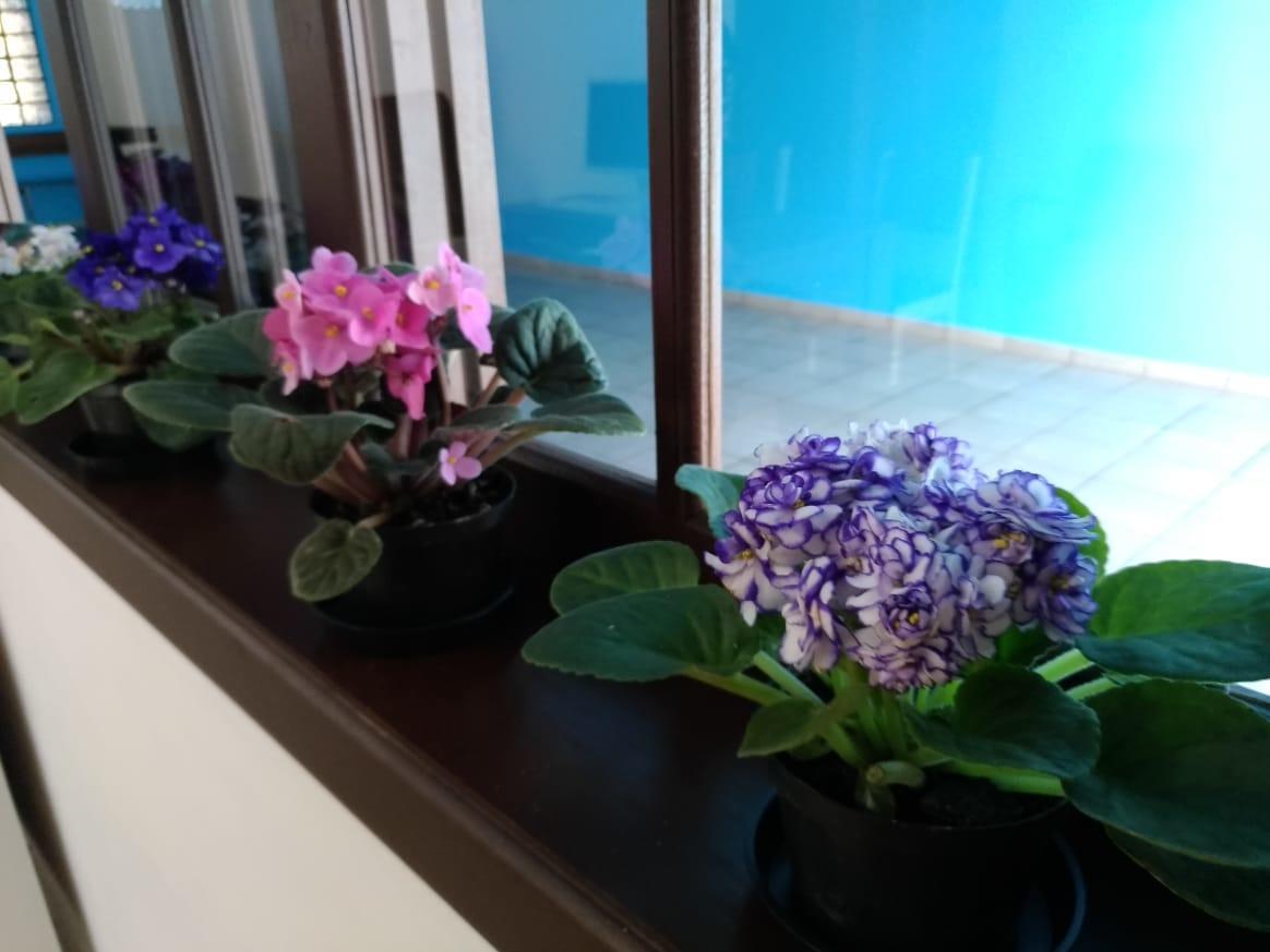 Hostel Villa Pomerania Помероди Екстериор снимка
